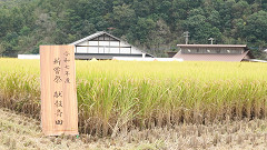 収穫祭