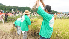 収穫祭
