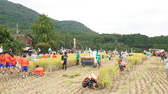 収穫祭