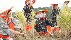 収穫祭
