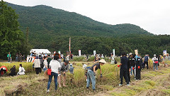 収穫祭