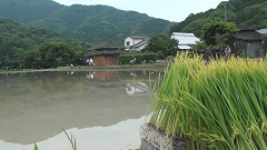 御田植祭