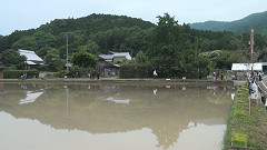 御田植祭