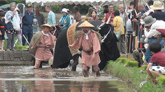 御田植祭