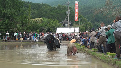 御田植祭