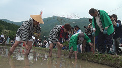 御田植祭