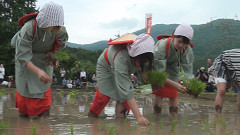 御田植祭