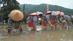 御田植祭