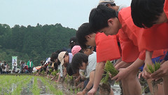 御田植祭