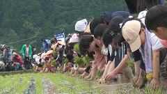 御田植祭