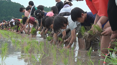 御田植祭