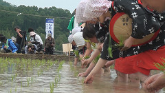 御田植祭