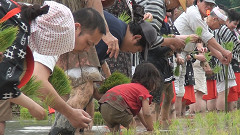 御田植祭