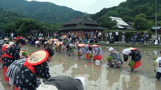 御田植祭