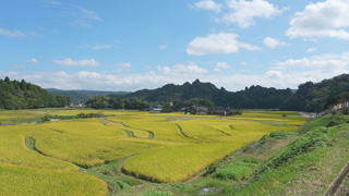 収穫祭 収穫祭
