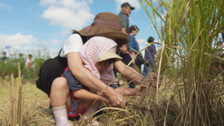 収穫祭 収穫祭