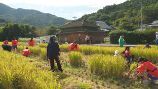 収穫祭 収穫祭