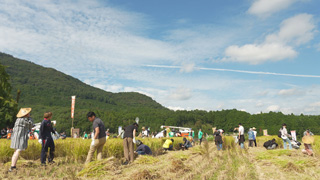 収穫祭 収穫祭