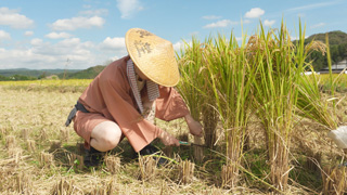 収穫祭 収穫祭